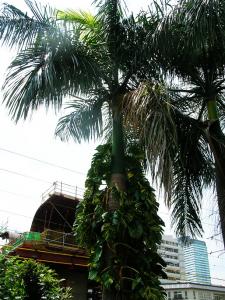 DSCN4810.jpg